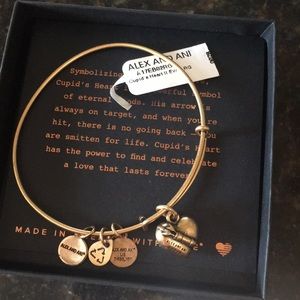 Beautiful Alex and Ani  bracelet